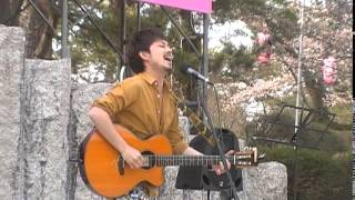 20140413星野裕矢「遠い瞳」－「櫻ツアー」in長岡悠久山桜まつり