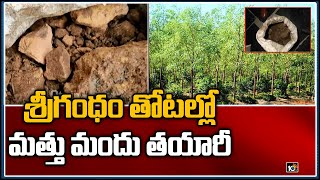 శ్రీగంధం తోట‌ల్లో మ‌త్తు మందు త‌యారీ | Prakasam | 10TV News