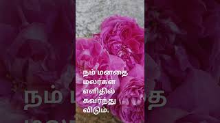 நம் மனதை