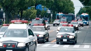 超级富豪孙女被人侵犯，悬赏10亿杀凶手，几百警员都保不住！