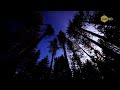 Ingo Herrmann - Soulmate - Deluxe Lounge TV