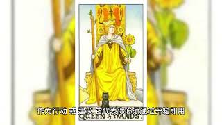 【78张塔罗牌牌意】权杖皇后 Queen of Wands : 开朗