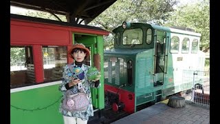 碓氷峠鉄道文化むらＥＦ６３形電気機関車・あぷとくん