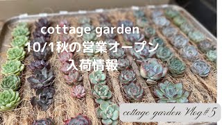 【多肉植物】秋オープンに向けて入荷情報