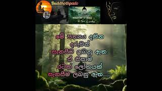 සත්‍යය, සත්‍යය ලෙසින්ම දකින්න...තමාට පිහිට නොවන කිසිවක් සත්‍යය නොවේ.