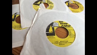 Mount Jerusalem/Like Mountain Riddim Mix 1997 (Sizzla, Red Rose, Anthony B, Jah Cure  & more)