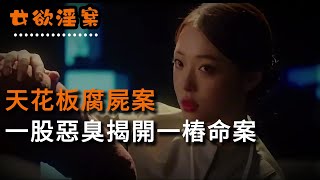 【女欲淫案】天花板腐尸案，一股惡臭揭開一樁命案 | 奇聞異事 | 情殺 | 迷奸 | 犯罪 | 奇案 | 男女 | 大案紀實 | 出軌