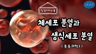 자이노 zyno - 체세포 분열과 생식세포 분열 (중등과학3)