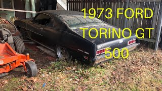 A Ford Torino GT 500 and something rare.