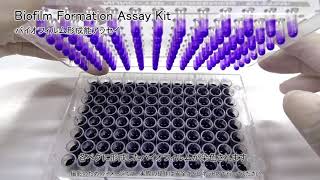 Biofilm Formation Assay Kit　同仁化学研究所