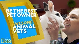Be the Best Pet Owner | Awesome Animal Vets