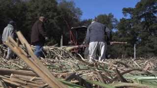 Bulloch County Farmer Still Going Strong At 93