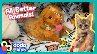 Bubble Puppy And Electricity Kitty Are Gonna Get All Better! | Dodo Kids | All B