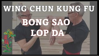 Wing Chun's Bong Sao Lop Da -  5 change over practice