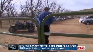 FOX NEWS Warren Jeffs ordering child labor