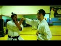 空手道林派糸東流 • 八 步 連 • bunkai of