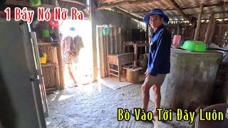 Cặp Rắn Hổ Mang Đẻ 1 Ổ Trứng Nở Ra 1 Bầy Con Nó Bò Vào Nhà Lung Tung | Mười Thương SB