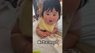 歯が生えてきた6ヶ月ベビー👶🏻🦷💭🤍#6ヶ月ベビー #こども #かわいい #あざとベビー #baby #乳児 #赤ちゃん #乳歯 #歯が生えてきた