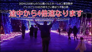 20241218まんのう公園イルミネーション星空散歩ごじゃごじゃ65万球すごい勝ぼうず香川県