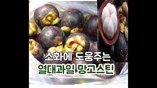 소화기를 튼튼하게 해주는 열대과일의 정체 -  수입과일전문점에서 구매