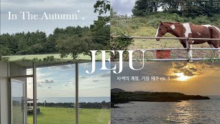 가을 제주 여행 ep.3 자연으로부터 얻는 위로 (애월 맛집, 곽지해수욕장, 조천 카페, 연필가게)