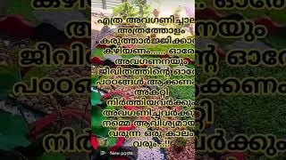 ഒരു നല്ല കാലം വരുമെന്ന പ്രതീക്ഷയോടെ ജീവിക്കാം അൽഹംദുലില്ലാ