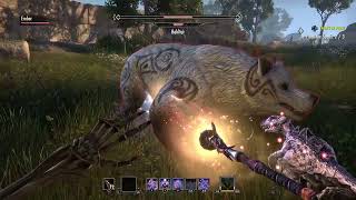 Elder Scrolls Online Tamriel pt.54