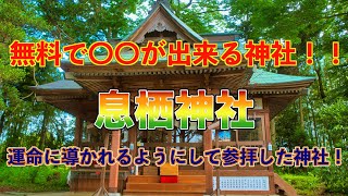 無料で〇〇が出来る神社‼️息栖神社⛩️運命に導かれるようにして参拝した神社✨