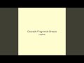 Cascade Fragments Breeze