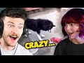 The Craziest Tiktoks Ever...