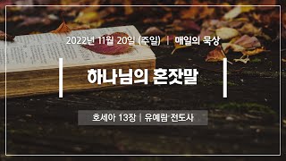 [11월 20일 주일] 매일의 묵상ㅣ호세아 13장ㅣ유예림 전도사