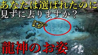 ⚠️龍神の棲む池は、世界でも有名な美しい湧水の湧く歴史ある神社でした。【茨城県日立市 泉神社】【祭神：天速玉姫命 宗像三女神】