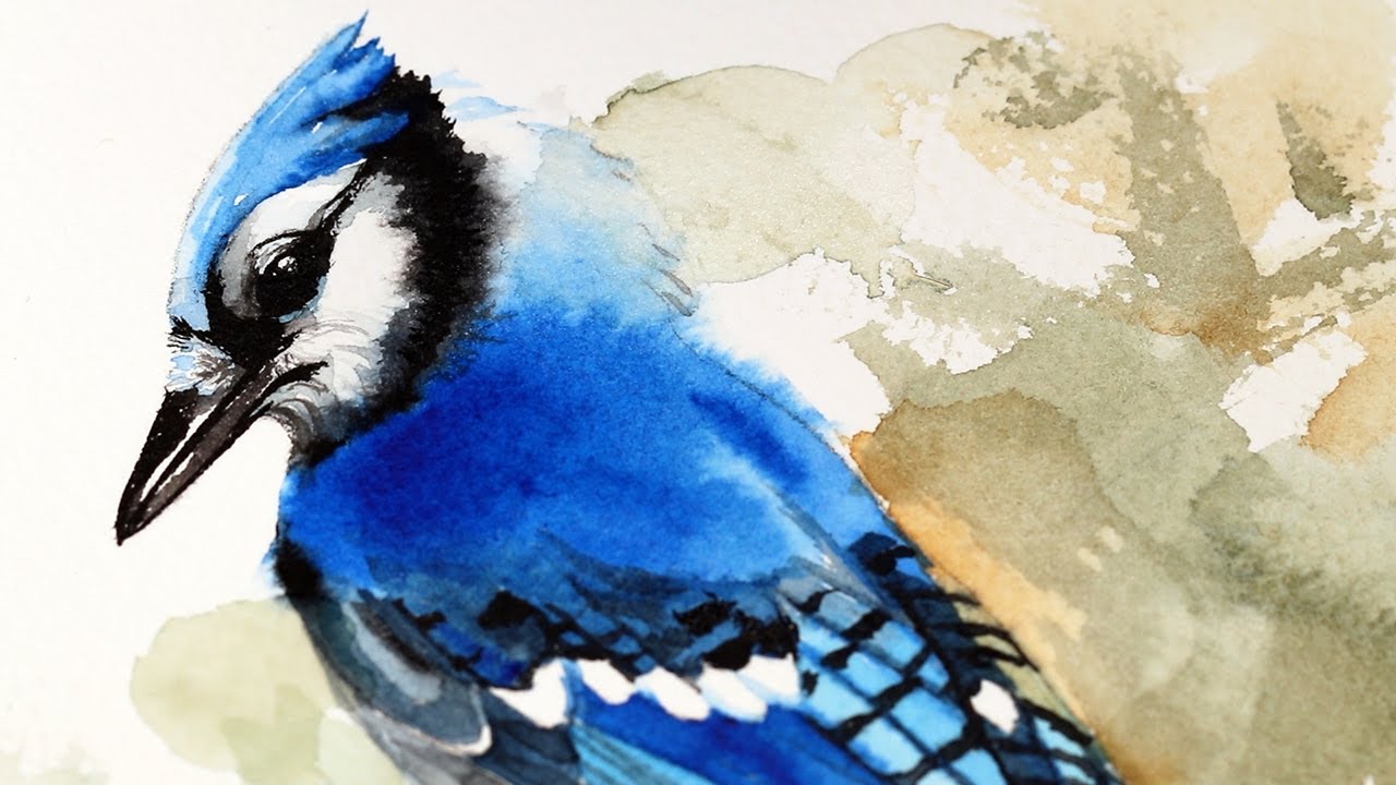 How To Paint A Blue Jay Bird In Watercolor - YouTube