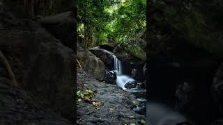 Canon m200 Nature photography with kit lens #mirrorless #photography #m200 #waterfall