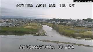 大和川 石川合流点 ライブカメラ (2023/01/15) 定点観測 Yamato River Live Camera