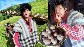 We are carrying pillars from jungle || Enjoying boil potato ||Sanjip Jina Jonson Adhiraj@Sanjipjina