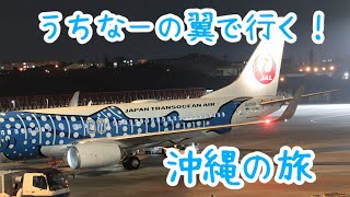 【うちなーの翼】初JTA！初ジンベイジェット！初沖縄の夜景を機窓から