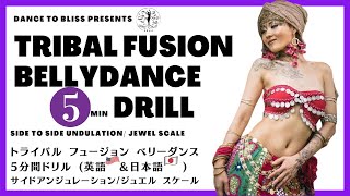 ★5min ONLY★GOOEY TRIBAL FUSION BELLY DANCE DRILL/時短ドリル★欧米で大人気！トライバル フュージョン ベリーダンス 基礎練