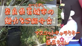 蓮花ちゃん葛城市観光PR