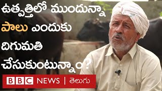 Dairy industry: పాడి పరిశ్రమలో సంక్షోభం... ధరలు ఎందుకు మండిపోతున్నాయి? I BBC Telugu