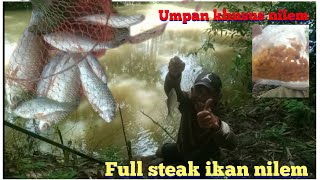 mancing ikan nilem babon ||mancing di sungai menggunakan umpan sawit ‼️