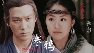 [陆毅 x 沈傲君] || MV 寒鸦 - 阿yueyue