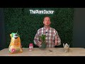 christmas cactus care how to tips and tricks