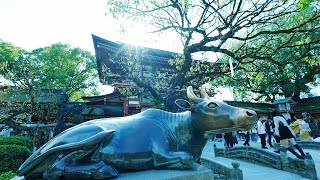 初九州✨初福岡旅行✈️福岡といえば〜「太宰府天満宮」まずはお参りからのstartです♪大賑わい👏👏