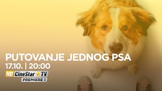 TV PREMIJERA - PUTOVANJE JEDNOG PSA | CineStar TV Premiere 1 | 17.10. | 20:00