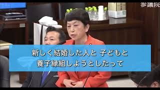 2024.5.9参院法務委【民法改正：共同親権】民法改正法案が参議院の法務委員会で審議されています。共同親権を認める場合の要件や単独で行使できる場合の要件が不明確。懸念や疑問が山積です。修正が必要です