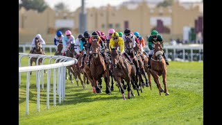 21st Al Uqda Race Meeting - Al Uqda Local Thoroughbred Trophy - Season 2023/2024