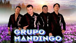 Grupo Mandingo Mix Super Éxitos Románticas Inolvidable🌹💖🎶 Los Grandes Exitos De Grupo Mandingo🌹💖🎶