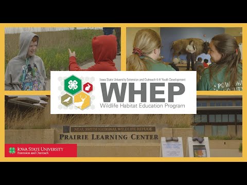 4-H Wildlife Habitat Education Program - YouTube