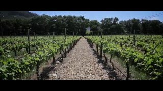 Holden Manz Wine Estate Video